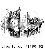 Clipart Of Retro Vintage Black And White Horses Royalty Free Vector Illustration