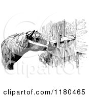 Poster, Art Print Of Retro Vintage Black And White Horse Unlocking A Door