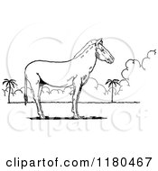 Clipart Of A Retro Vintage Black And White Horse Royalty Free Vector Illustration