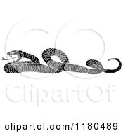 Clipart Of A Retro Vintage Black And White Snake Royalty Free Vector Illustration by Prawny Vintage