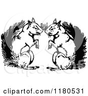 Clipart Of A Retro Vintage Black And White Squirrel Couple Royalty Free Vector Illustration