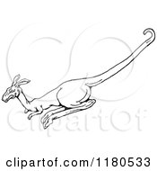 Clipart Of A Black And White Kangaroo Hopping Royalty Free Vector Illustration by Prawny Vintage
