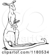 Clipart Of A Black And White Kangaroo And Joey Royalty Free Vector Illustration