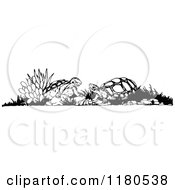 Clipart Of Retro Vintage Black And White Tortoises Royalty Free Vector Illustration