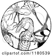 Clipart Of A Retro Vintage Black And White Lizard And Flowers Royalty Free Vector Illustration by Prawny Vintage
