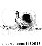 Clipart Of A Retro Vintage Black And White Pigeon Royalty Free Vector Illustration by Prawny Vintage