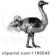 Clipart Of A Retro Vintage Black And White Ostrich Royalty Free Vector Illustration
