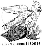 Clipart Of A Retro Vintage Black And White Parrot And Book Royalty Free Vector Illustration by Prawny Vintage