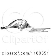 Clipart Of A Retro Vintage Black And White Seal On A Ledge Royalty Free Vector Illustration by Prawny Vintage