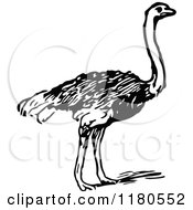 Clipart Of A Retro Vintage Black And White Ostrich Royalty Free Vector Illustration by Prawny Vintage