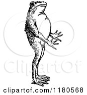 Clipart Of A Retro Vintage Black And White Bullfrog Standing Royalty Free Vector Illustration