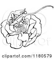 Clipart Of A Retro Vintage Black And White Lizard On A Flower Royalty Free Vector Illustration by Prawny Vintage