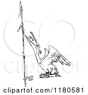 Clipart Of A Retro Vintage Black And White Pelican Eating A Fish Royalty Free Vector Illustration
