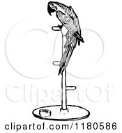 Poster, Art Print Of Retro Vintage Black And White Parrot On A Perch