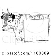 Poster, Art Print Of Retro Vintage Black And White Cow With A Sign