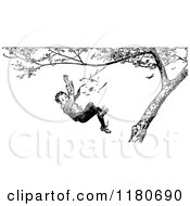 Retro Vintage Black And White Boy Falling From A Tree