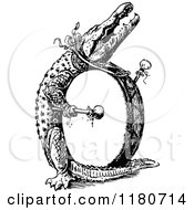 Clipart Of A Retro Vintage Black And White Letter O And Drummer Alligator Royalty Free Vector Illustration by Prawny Vintage