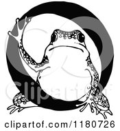 Poster, Art Print Of Retro Vintage Black And White Letter O And Toad