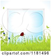 Poster, Art Print Of Butterfly With Grasses And Flowers Over A Blue Burst