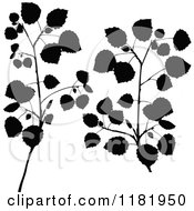 Poster, Art Print Of Black Silhouetted Birch Branches