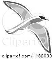 Clipart Of A Flying Petrel Bird Royalty Free Vector Illustration