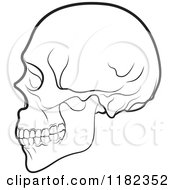 Poster, Art Print Of Black And White Human Skull In Profile