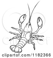 Clipart Of An Outlined Crayfish Royalty Free Vector Illustration