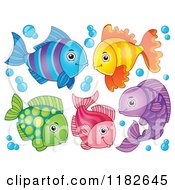 Cartoon Of Colorful Fish And Bubbles Royalty Free Vector Clipart