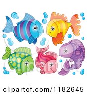 Poster, Art Print Of Colorful Fish And Bubbles