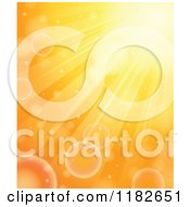 Cartoon of a Orange Sunlight Rays and Flares - Royalty Free Vector Clipart by visekart #COLLC1182651-0161