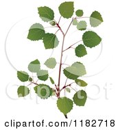 Clipart Of A Birch Tree Branch Royalty Free Vector Illustration