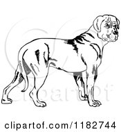 Clipart Of A Black And White Standing Dog Royalty Free Vector Illustration
