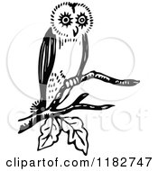 Poster, Art Print Of Black And White Perched Owl