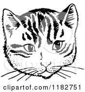 Clipart Of A Black And White Cat Face Royalty Free Vector Illustration