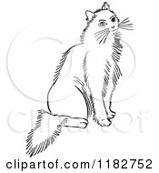 Clipart Of A Black And White Cat Sitting Royalty Free Vector Illustration
