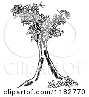 Clipart Of A Black And White Floral Tree Royalty Free Vector Illustration