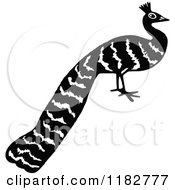 Clipart Of A Black And White Peacock 2 Royalty Free Vector Illustration
