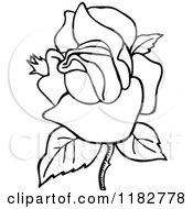 Poster, Art Print Of Black And White Blooming Rose