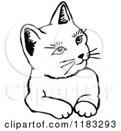 Clipart Of A Black And White Cat 2 Royalty Free Vector Illustration by Prawny