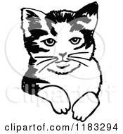 Clipart Of A Black And White Cat Royalty Free Vector Illustration