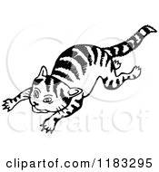 Clipart Of A Black And White Cat Jumping Royalty Free Vector Illustration