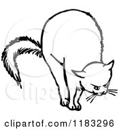 Poster, Art Print Of Black And White Cat Stretching