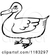 Clipart Of A Black And White Duck Royalty Free Vector Illustration by Prawny