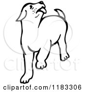 Poster, Art Print Of Black And White Dog Licking The Air