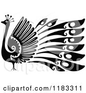Poster, Art Print Of Black And White Peacock In Profile