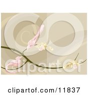 Poster, Art Print Of Two Pink Birds Perched On A Branch With Blossoms