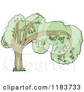Cartoon Of A Tree Royalty Free Vector Illustration