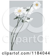 Poster, Art Print Of Daisy Flowers Over Gray