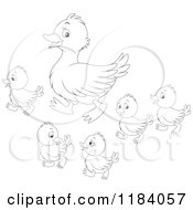 Poster, Art Print Of Outlined Mother Duck And Baby Ducklings