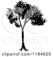 Poster, Art Print Of Silhouetted Tree